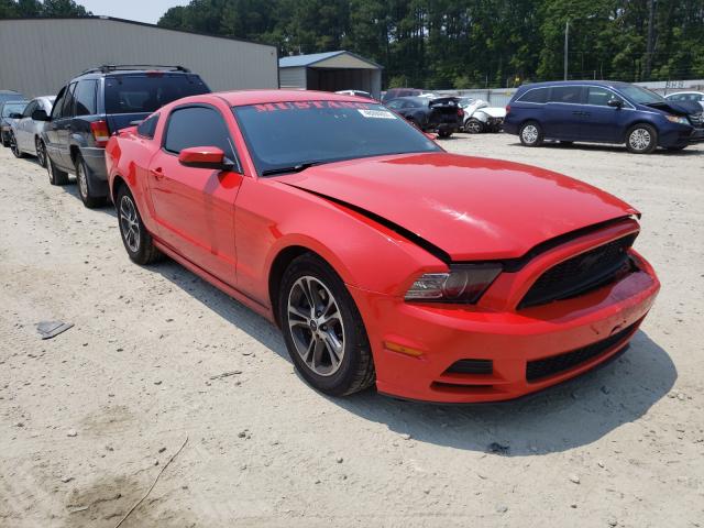 FORD MUSTANG 2013 1zvbp8amxd5260402