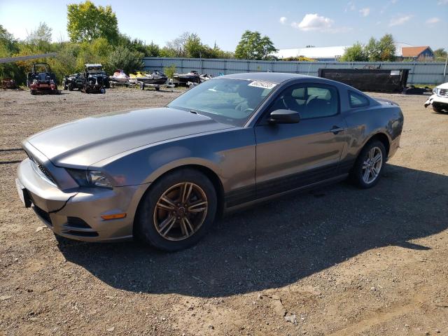 FORD MUSTANG 2013 1zvbp8amxd5261730