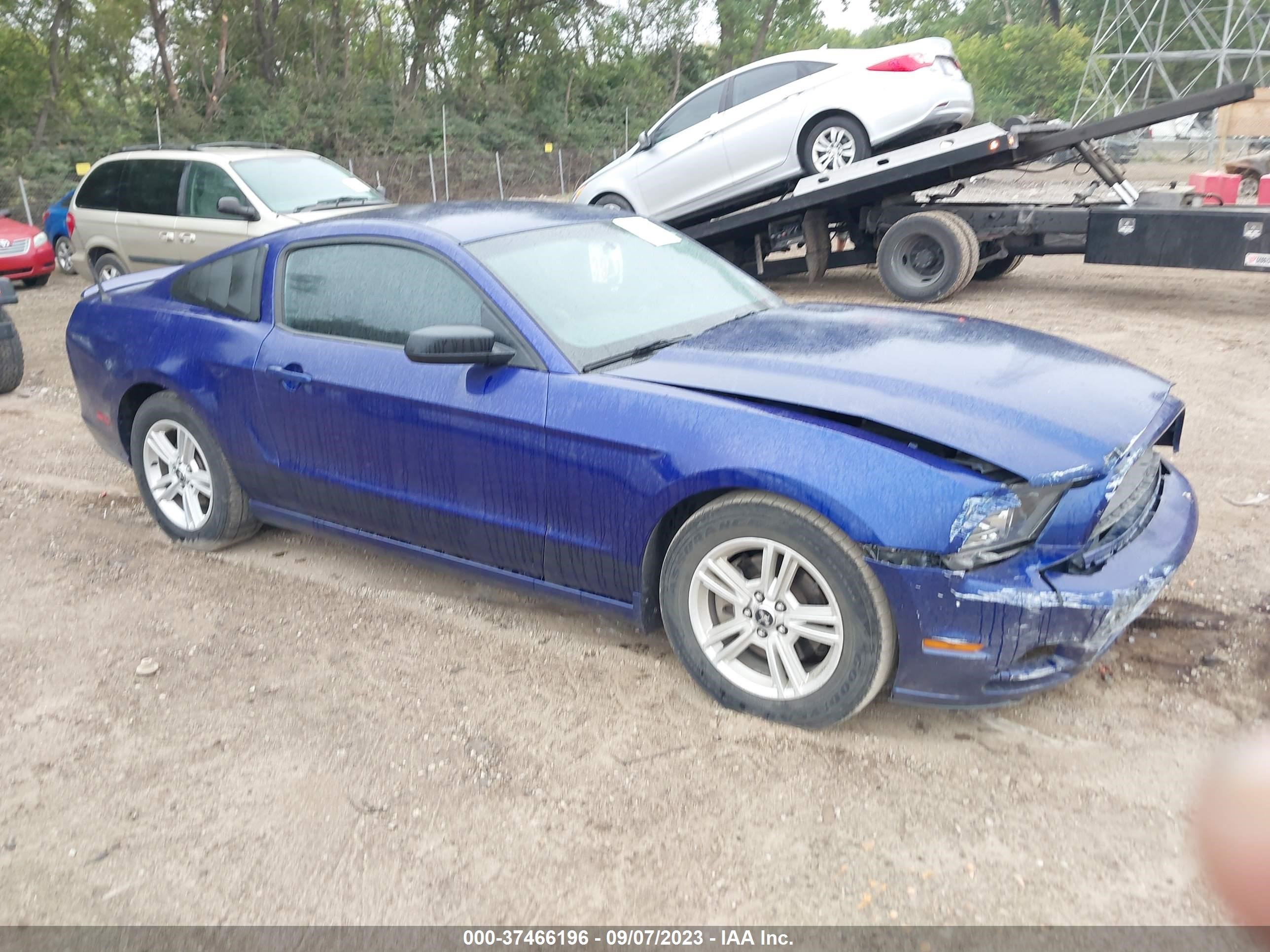 FORD MUSTANG 2013 1zvbp8amxd5262408