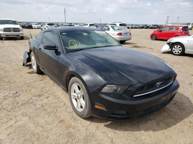 FORD MUSTANG 2013 1zvbp8amxd5264420