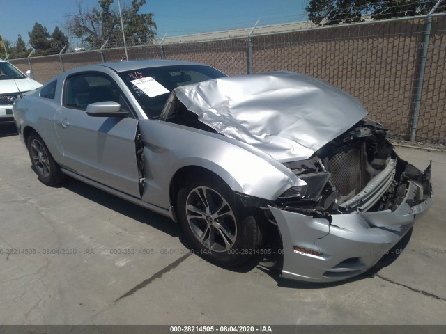 FORD MUSTANG 2013 1zvbp8amxd5264921