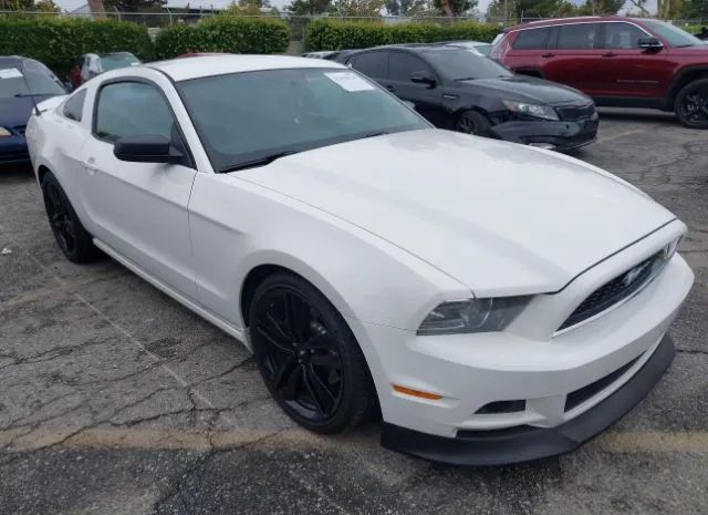 FORD MUSTANG 2013 1zvbp8amxd5267270