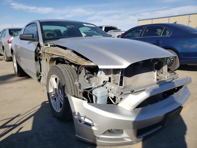 FORD MUSTANG 2013 1zvbp8amxd5269049