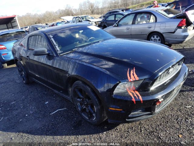 FORD MUSTANG 2013 1zvbp8amxd5270914