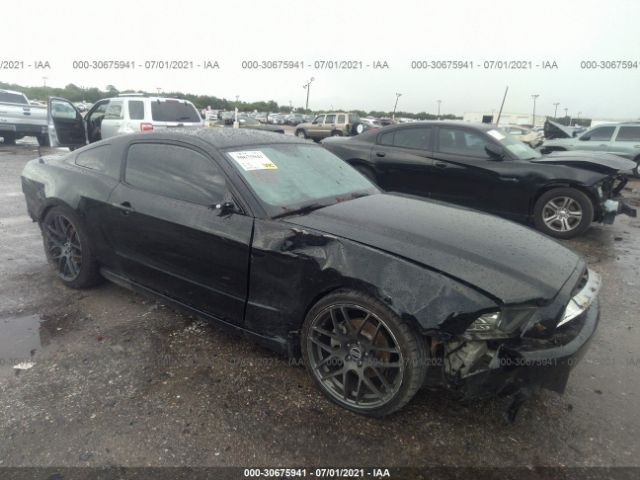 FORD MUSTANG 2013 1zvbp8amxd5272517