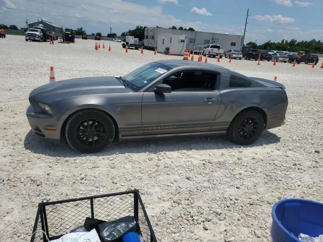 FORD MUSTANG 2013 1zvbp8amxd5274753