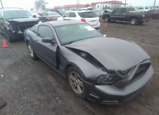 FORD MUSTANG 2013 1zvbp8amxd5275286