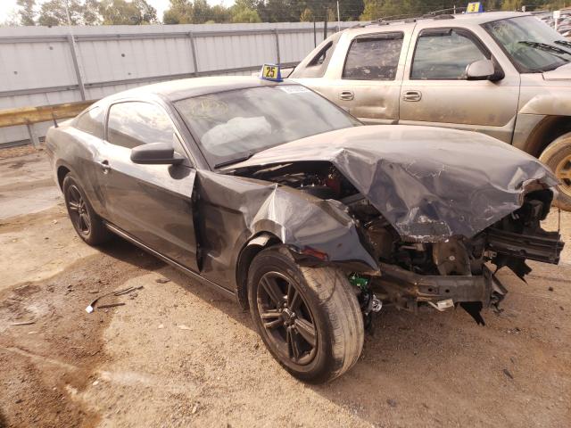 FORD MUSTANG 2013 1zvbp8amxd5275823