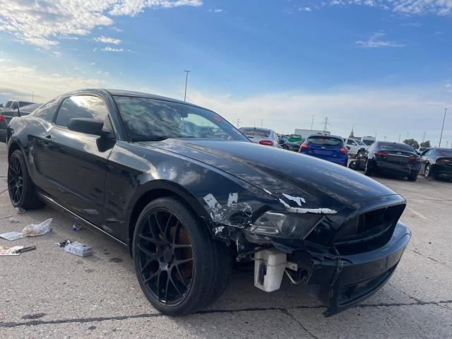 FORD MUSTANG 2013 1zvbp8amxd5275997