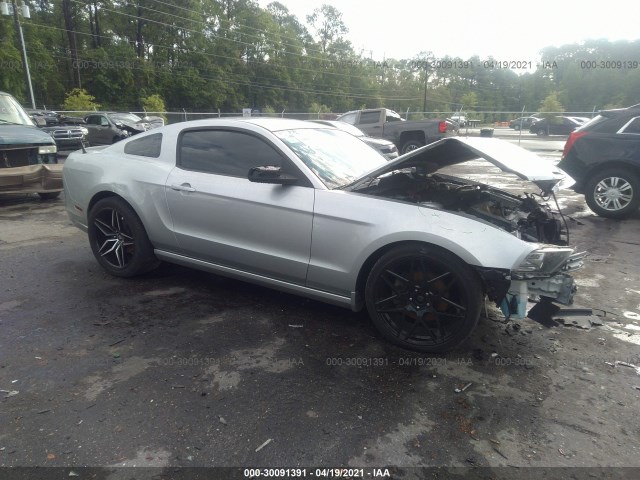 FORD MUSTANG 2013 1zvbp8amxd5279709