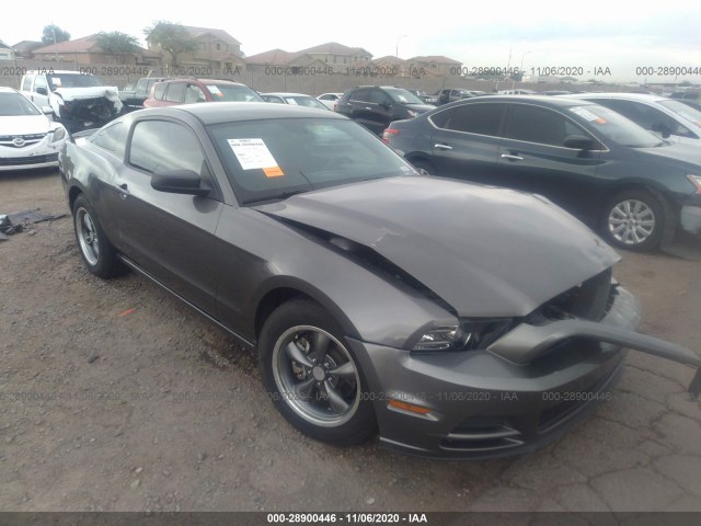 FORD MUSTANG 2013 1zvbp8amxd5279872