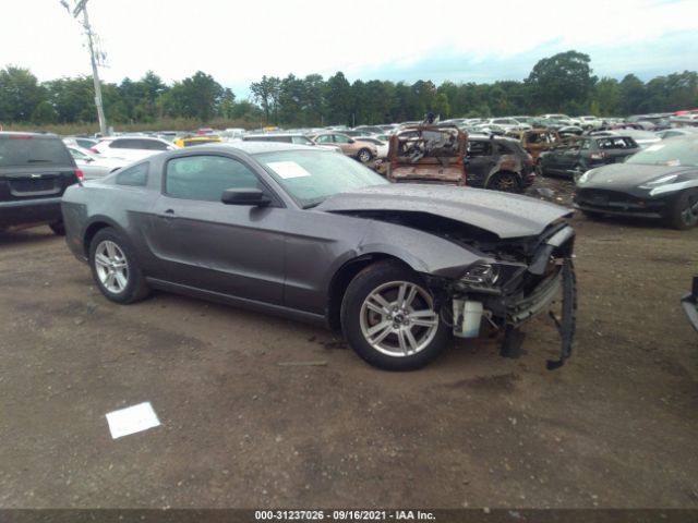 FORD MUSTANG 2013 1zvbp8amxd5280729