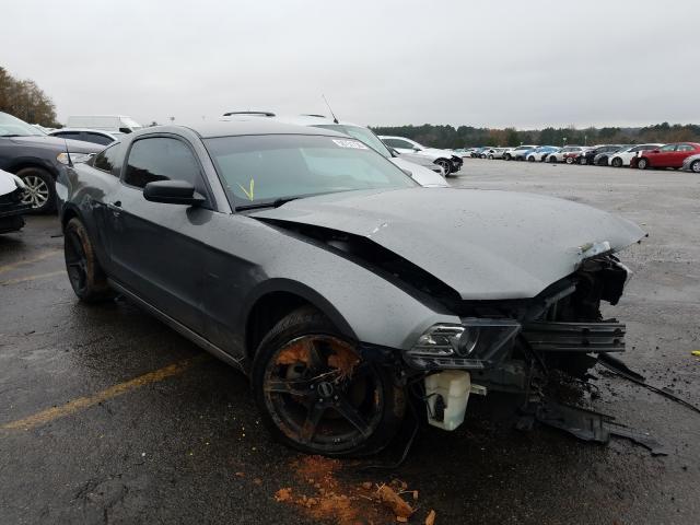 FORD MUSTANG 2013 1zvbp8amxd5281055