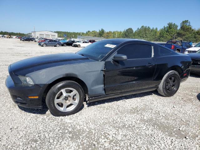 FORD MUSTANG 2013 1zvbp8amxd5281783