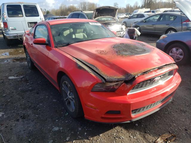 FORD MUSTANG 2014 1zvbp8amxe5201822