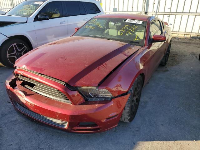 FORD MUSTANG 2014 1zvbp8amxe5201951