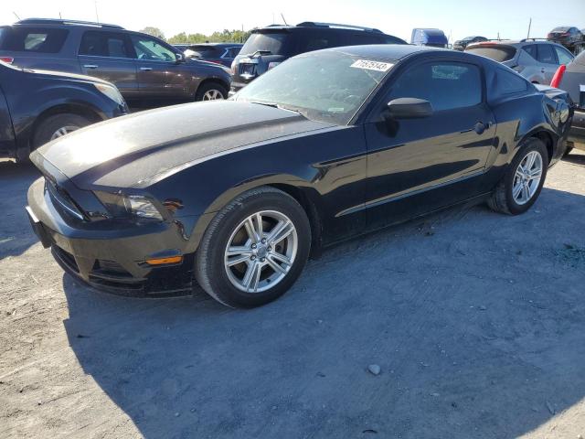 FORD MUSTANG 2014 1zvbp8amxe5202467