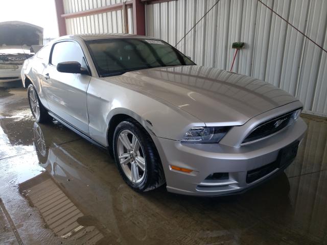 FORD MUSTANG 2014 1zvbp8amxe5204526