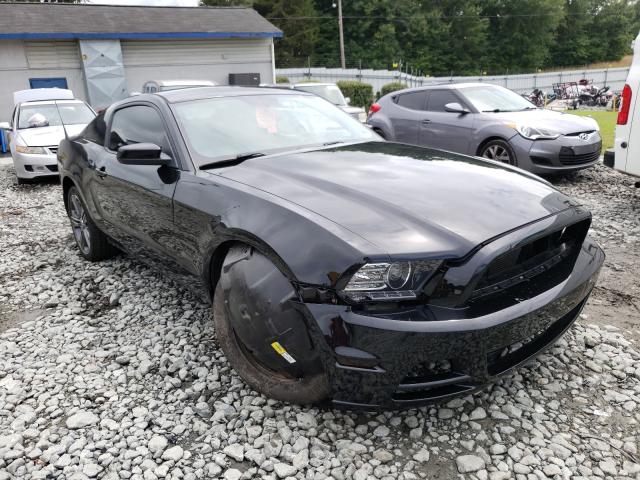 FORD MUSTANG 2014 1zvbp8amxe5207295