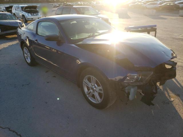 FORD MUSTANG 2014 1zvbp8amxe5209354