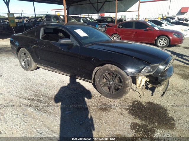 FORD MUSTANG 2014 1zvbp8amxe5211878