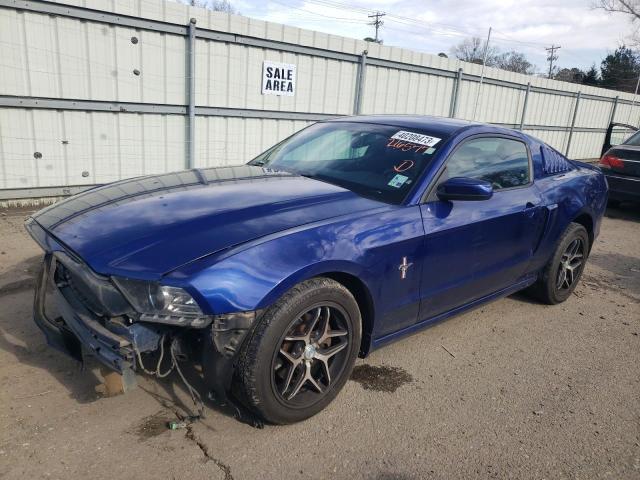 FORD MUSTANG 2014 1zvbp8amxe5216577