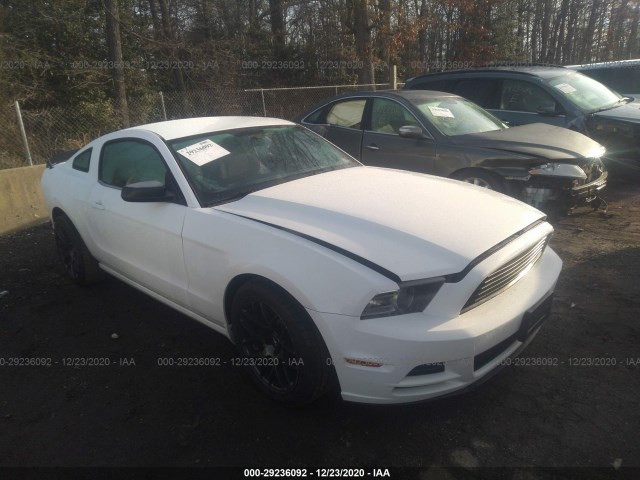 FORD MUSTANG 2014 1zvbp8amxe5216787