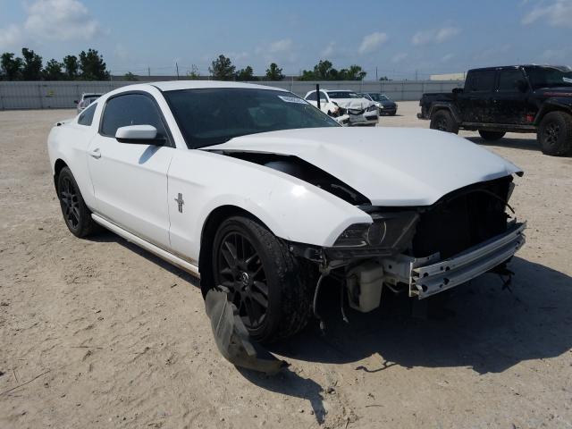 FORD MUSTANG 2014 1zvbp8amxe5217146