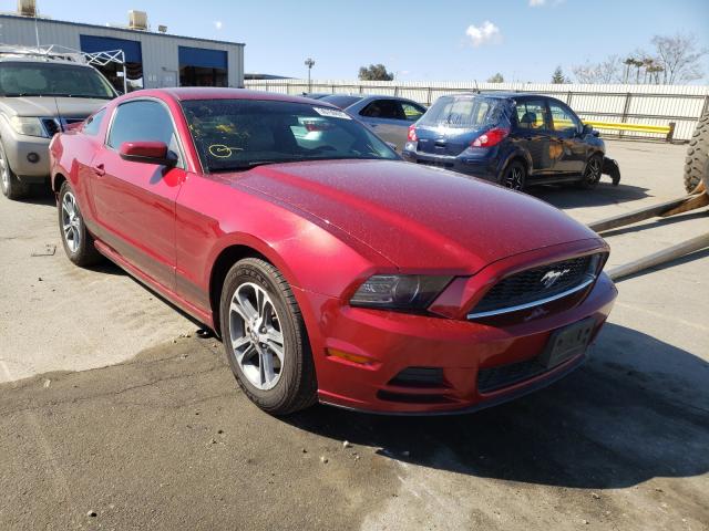 FORD MUSTANG 2014 1zvbp8amxe5217860