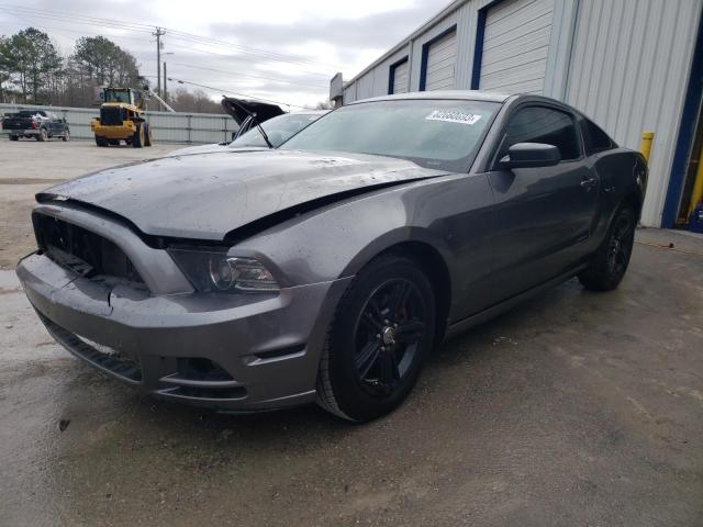 FORD MUSTANG 2014 1zvbp8amxe5218684