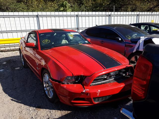 FORD MUSTANG 2014 1zvbp8amxe5228163