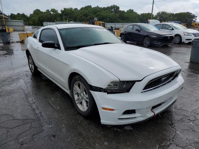 FORD MUSTANG 2014 1zvbp8amxe5229054