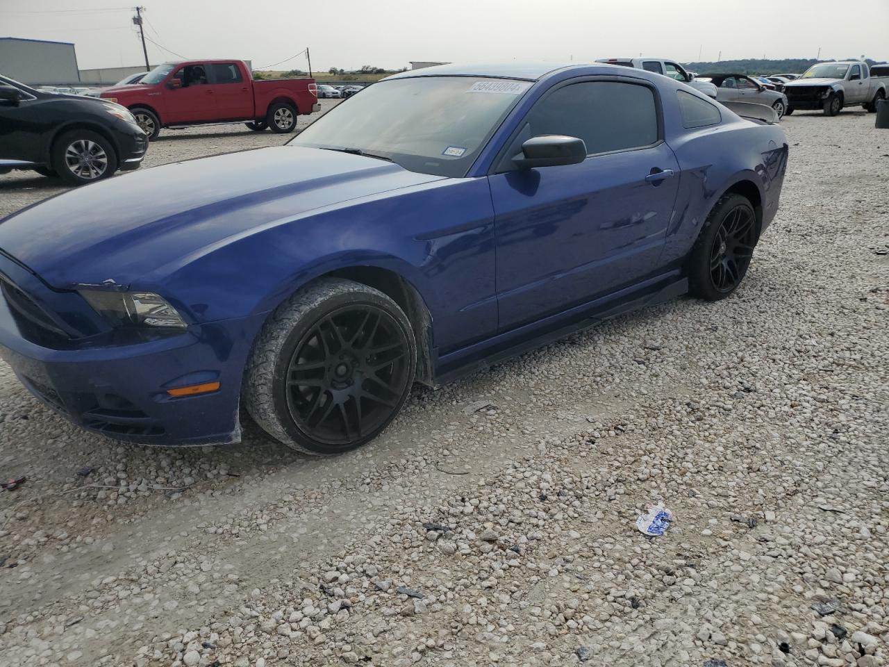 FORD MUSTANG 2014 1zvbp8amxe5237557