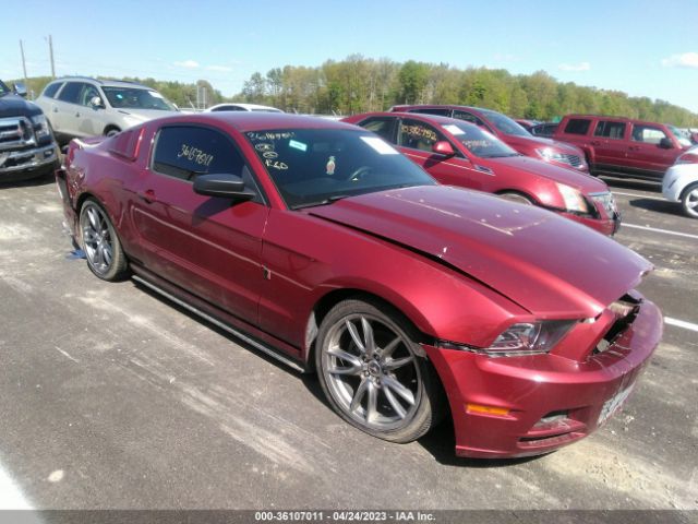 FORD MUSTANG 2014 1zvbp8amxe5238644