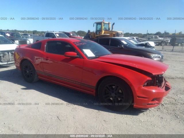 FORD MUSTANG 2014 1zvbp8amxe5240345