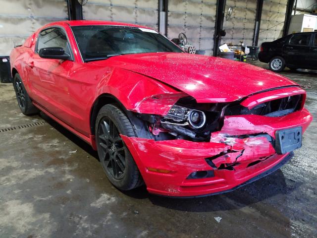 FORD MUSTANG 2014 1zvbp8amxe5242502