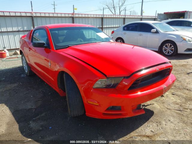 FORD MUSTANG 2014 1zvbp8amxe5245190