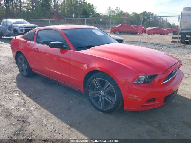 FORD MUSTANG 2014 1zvbp8amxe5249210