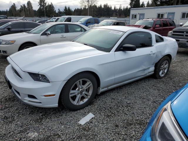 FORD MUSTANG 2014 1zvbp8amxe5249272