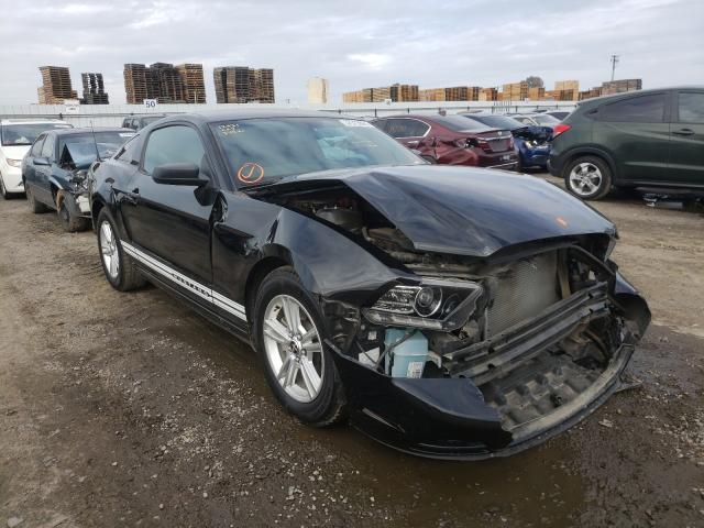 FORD MUSTANG 2014 1zvbp8amxe5255069