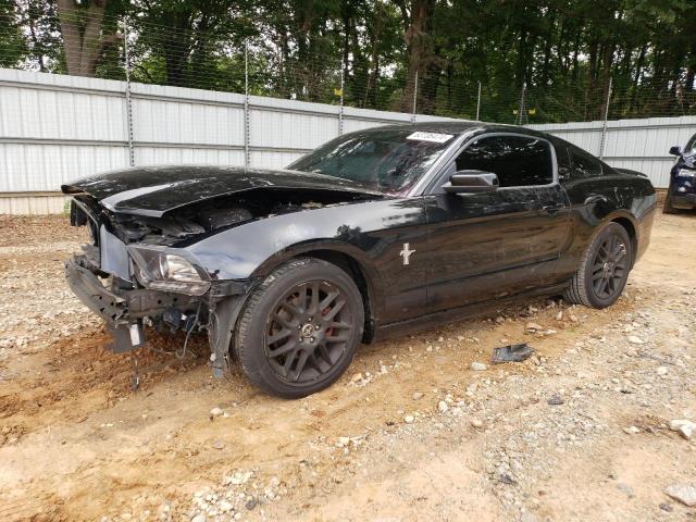 FORD MUSTANG 2014 1zvbp8amxe5256058