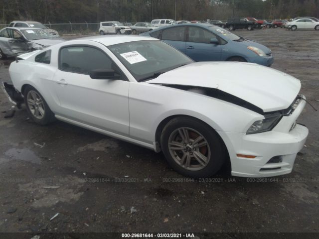 FORD MUSTANG 2014 1zvbp8amxe5256206