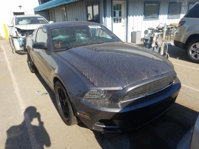 FORD MUSTANG 2014 1zvbp8amxe5256500