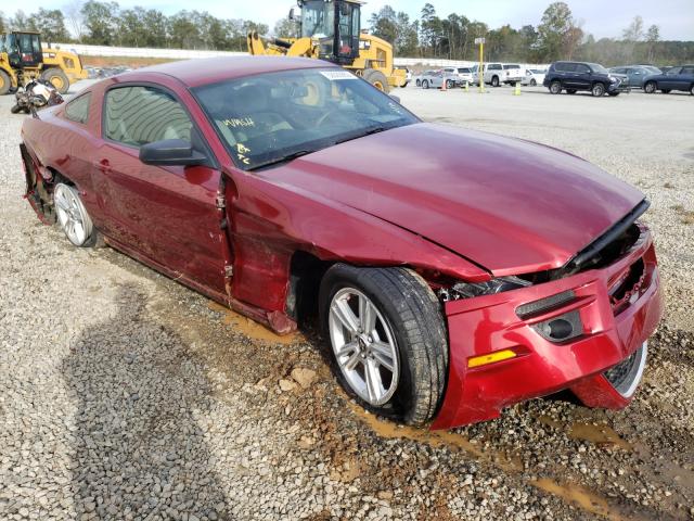 FORD MUSTANG 2014 1zvbp8amxe5258019