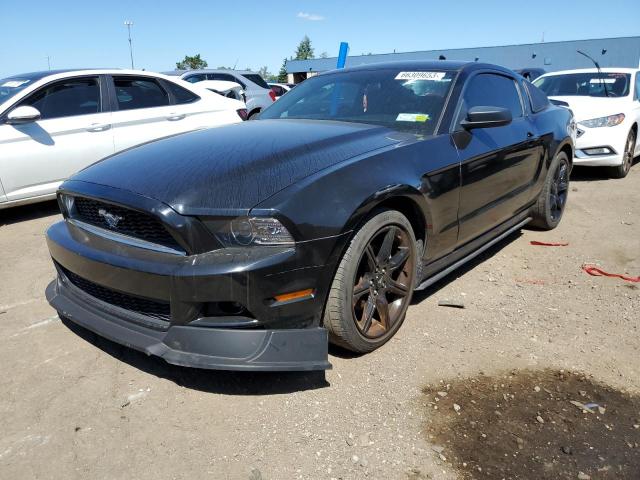 FORD MUSTANG 2014 1zvbp8amxe5259364