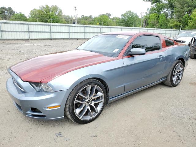 FORD MUSTANG 2014 1zvbp8amxe5262331