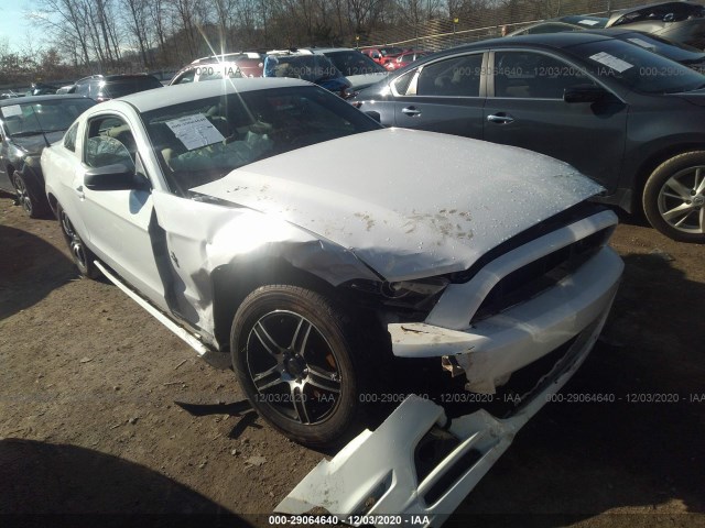 FORD MUSTANG 2014 1zvbp8amxe5263317