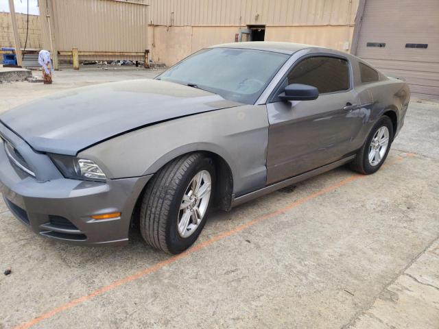 FORD MUSTANG 2014 1zvbp8amxe5267562