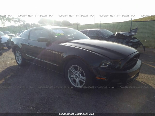 FORD MUSTANG 2014 1zvbp8amxe5271837