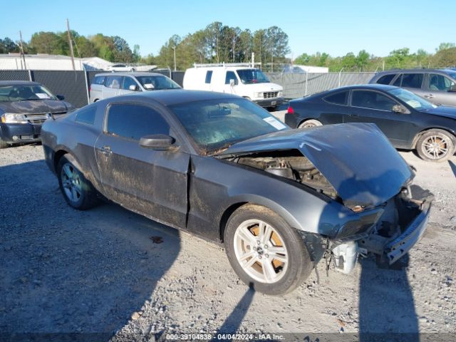 FORD MUSTANG 2014 1zvbp8amxe5272793